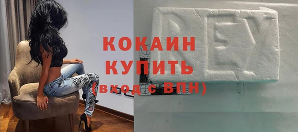 apvp Алексин