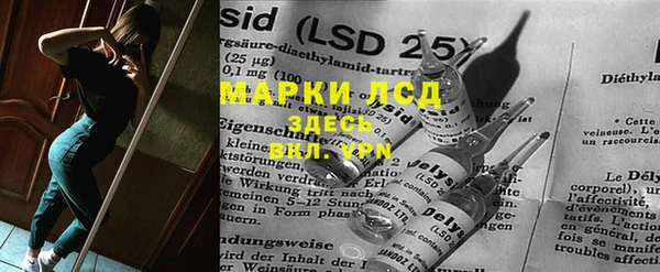 хмурый Алзамай
