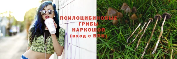 хмурый Алзамай