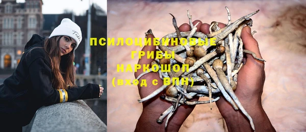 apvp Алексин