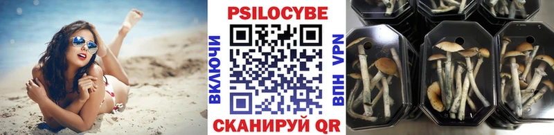 закладки  Краснознаменск  Галлюциногенные грибы мухоморы 